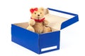 Lovely bear toy in blue box gift on white
