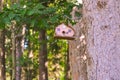 Lovely birdhouse