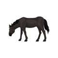 Lovely black horse standing with head down. Beautiful animal with hooves, flowing mane and long tail. Flat vector icon Royalty Free Stock Photo