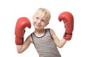 Lovely blond boy in red boxing gloves. Sports concept. Isolate