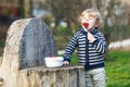 Lovely blond boy of two years eating strawberries outdoors Royalty Free Stock Photo