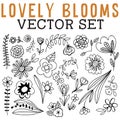 Lovely Blooms Vector Set with flowers, vines, blossoms, leaves, and flower buds.