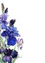 Lovely bouquet blooming garden blue iris flowers stem with buds and green leaves. Corner vertical composition frame. Hand drawn