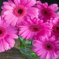 Pink Flowers in a glass jam jar, close up. Royalty Free Stock Photo