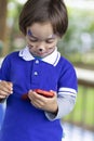 Lovely Boy Playing on Mobile Phone
