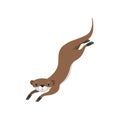 Lovely brown otter swimming, funny animal character vector Illustration on a white background