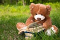 Lovely Brown Teddy bear toy and book sitting on green field, education kids concept Royalty Free Stock Photo