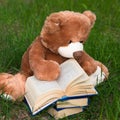 Lovely Brown Teddy bear toy and book sitting on green grass field, education kids concept Royalty Free Stock Photo