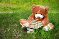 Lovely Brown Teddy bear toy and book sitting on green grass field, education kids concept Royalty Free Stock Photo