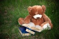 Lovely Brown Teddy bear toy and book sitting on green grass field, education kids concept Royalty Free Stock Photo