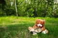 Lovely Brown Teddy bear toy and book sitting on green grass field, education kids concept Royalty Free Stock Photo