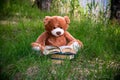 Lovely Brown Teddy bear toy and book sitting on green grass field, education kids concept Royalty Free Stock Photo