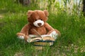 Lovely Brown Teddy bear toy and book sitting on green grass field, education kids concept