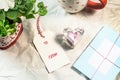 Lovely cards,tags,Petunia,heart shape Royalty Free Stock Photo