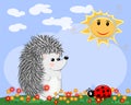 Lovely cartoon hedgehog near a seven-colored rainbow and a ladybird on a spring, summer day Royalty Free Stock Photo