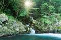 A lovely cascade flowing into a stream in a mysterious forest with sunlight shining through the lush greenery