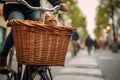 Lovely cat taking a ride in bicycle wicker basket