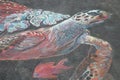 Santa Barbara Mission Chalk Art - Turtle