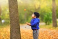 Lovely child catches the maple leaves in the fall during autumn