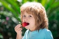 Lovely child eating strawberries. Kids pick fresh organic strawberry. Child strawberrie. Royalty Free Stock Photo