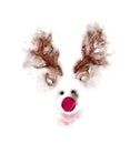 christmas deer with red nose in watercolor