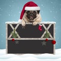 Lovely Christmas pug puppy dog hanging with paws on blank blackboard sign with wooden frame and decoration Royalty Free Stock Photo