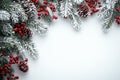 A lovely Christmas tree background against a white backdrop, emphasizing festive cheer. Royalty Free Stock Photo