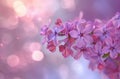 Lovely closeup of lilac flowers, with a pastel purple background and bokeh, epitomizing the freshness of spring