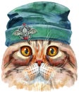 Lovely closeup portrait of Highland fold cat breed in a green beanie hat. Hand drawn water colour painting on white background