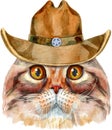 Lovely closeup portrait of Highland fold cat in cowboy hat. Hand drawn water colour painting on white background