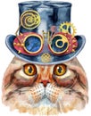 Lovely closeup portrait of Highland fold cat in a top hat with goggles. Hand drawn water colour painting on white background