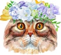 Lovely closeup portrait of Highland fold cat in a wreath of flowers. Hand drawn water colour painting on white background