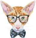 Lovely closeup portrait oriental cat in black glasses and bow tie on his neck. Hand drawn water colour painting on white