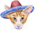 Lovely closeup portrait oriental cat in a sombrero hat. Hand drawn water colour painting on white background