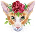 Lovely closeup portrait oriental cat in a wreath of flowers. Hand drawn water colour painting on white background