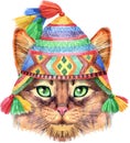 Lovely closeup portrait of Somali cat in Peruvian National Chulo hat. Hand drawn water colour painting on white background