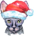 Lovely closeup portrait of Sphynx cat in Santa hat. Hand drawn water colour painting