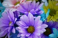 Lovely colorful daisy bouquet.