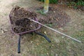 Lovely compost in a wheelbarrow ready to be forked around a tree to replenish the soil