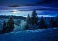 Lovely countryside with grassy hills at night