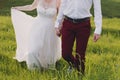 Lovely couple, bride and groom posing in field during sunset, lifestyle Royalty Free Stock Photo