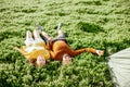 Couple lying on the green meadow in the mountains