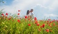 Lovely couple kissing in the poppy field, love Royalty Free Stock Photo