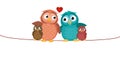 Lovely couple sitting owl on the rope with children owlet. Family Royalty Free Stock Photo