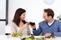 Lovely couple toasting glasses of red wine Royalty Free Stock Photo