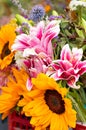 Lovely cut annual flowers at an outdoor market Royalty Free Stock Photo