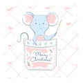 Lovely cute cheerful little mouse sitting in a pocket with sparkler