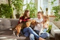 Lovely cute family, parents and child relaxing at home, playing with beagle dog in their living room on sunny day Royalty Free Stock Photo