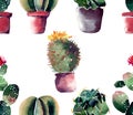 Lovely cute graphic wonderful abstract beautiful bright summer pattern of a two lines colorful cacti in red and brown clay pots wi Royalty Free Stock Photo