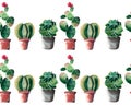 Lovely cute graphic wonderful abstract beautiful bright summer pattern of a two lines colorful cacti in red and brown clay pots wi Royalty Free Stock Photo